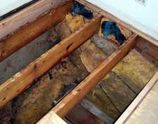 Rotting Crawl Space in Vancouver